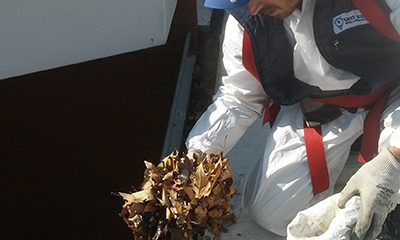 Çatı Temizlik Şirketleri